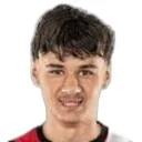 K. Alajbegovic