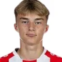 K. Potulski