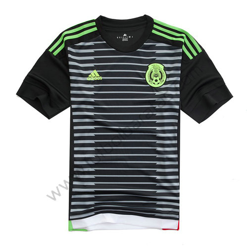 Camisetas Mexico Copa America 2015 Primera Equipacion